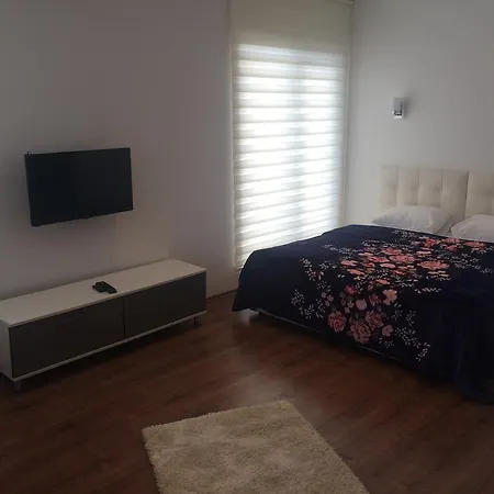 N'evo Ancara